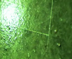 7M-pris de vitesse(clip)