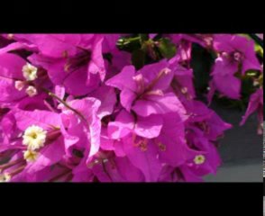 à ma petite princesse