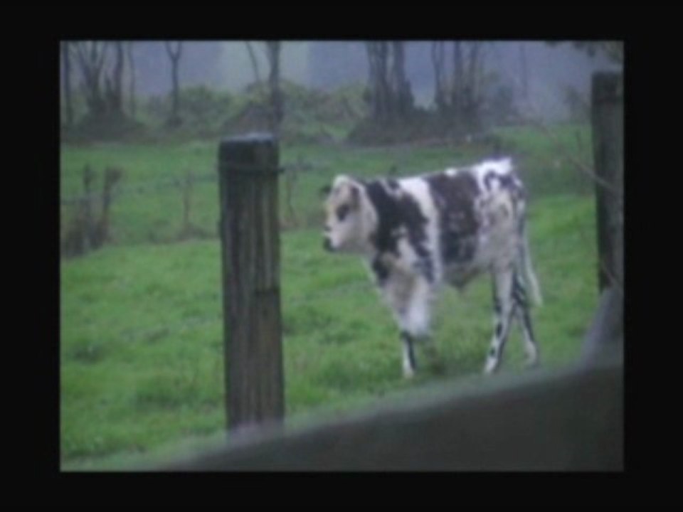 Normandie - La France d'en haut