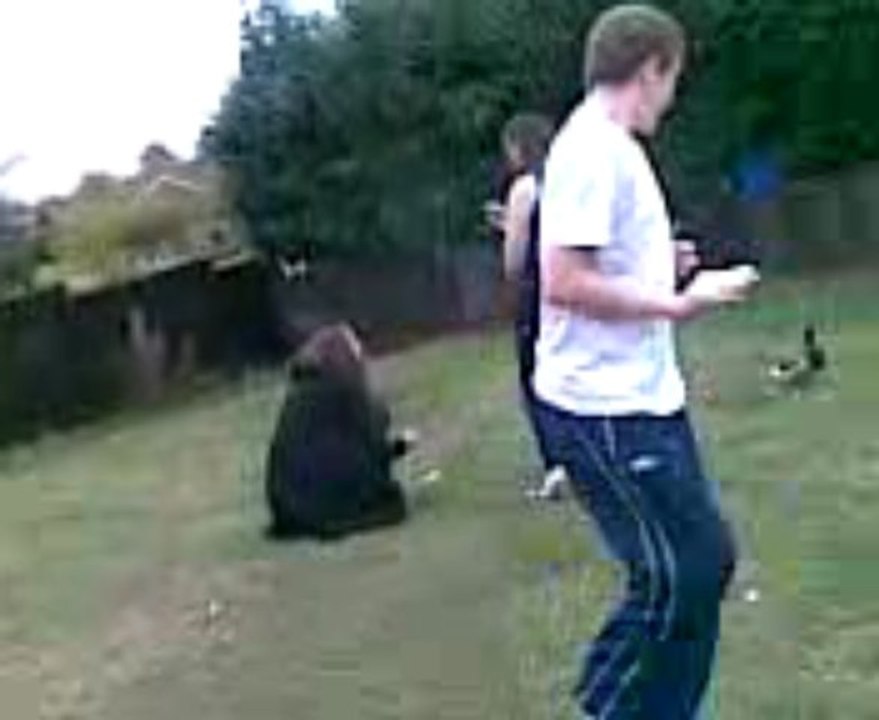 Video031