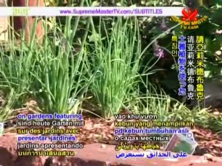 The World of Native Gardens with Alrie Middlebrook P2/2