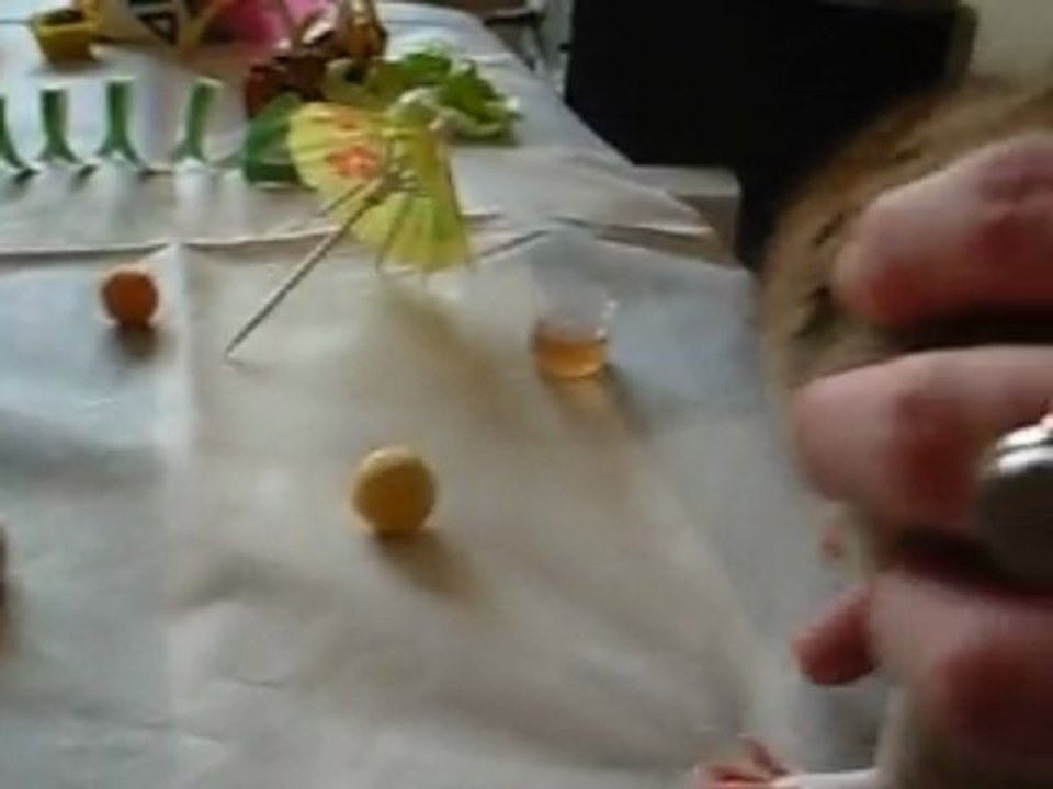 fête d'anniversaire I