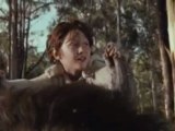 TV Spot
