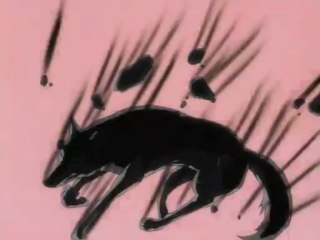 Amv Wolf's Rain I'm Not Afraid