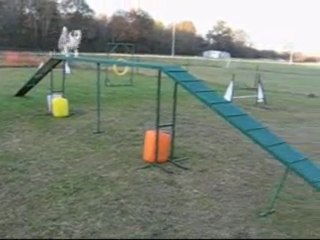 Coco, zone, 11 novembre 2009