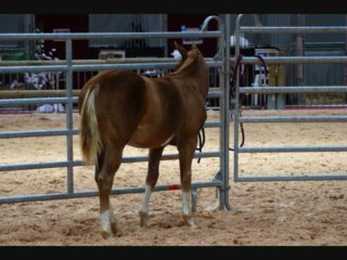 Slowly montage lyon 2009