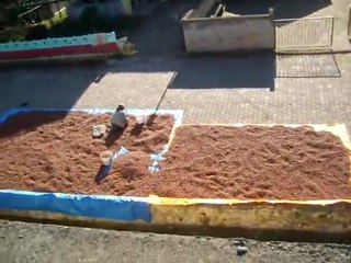 ÇATALPINAR GÜNEY MAHALLESİNDEN GÖRÜNTÜ (YAKUP ATEŞ)