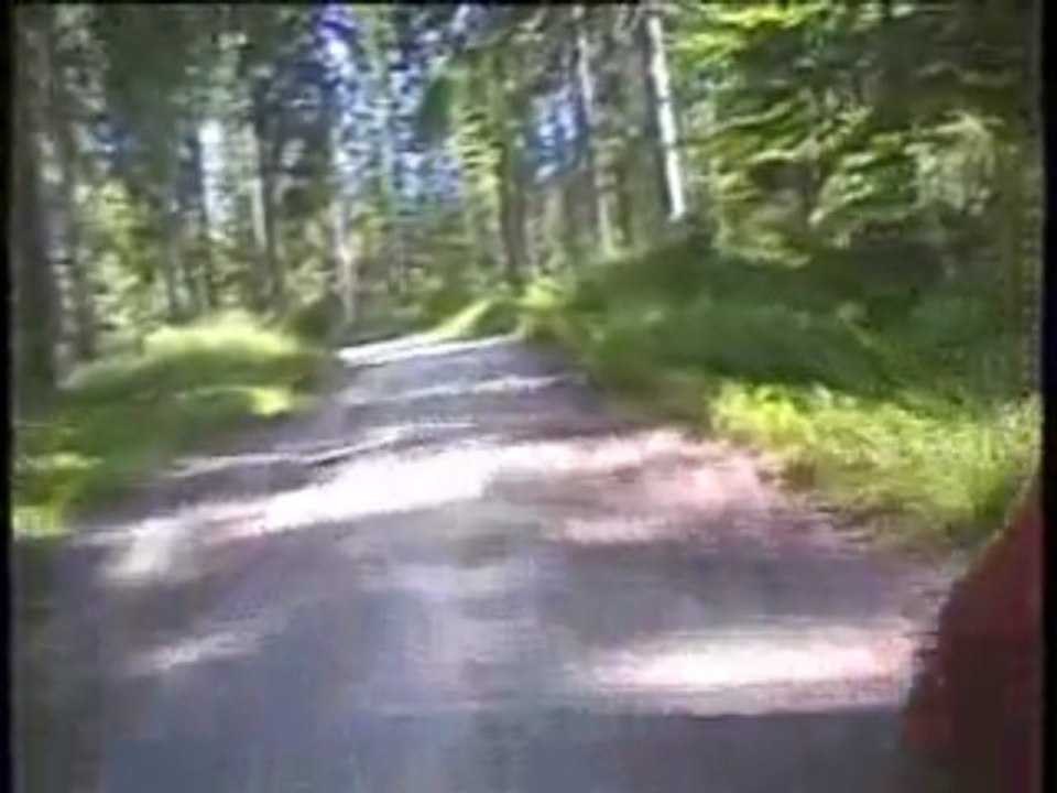 Schotter rund ums Yspertal