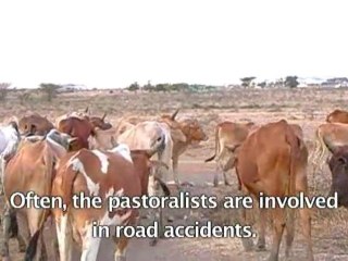 Climate Change - Kenya Maasai Herdsmen
