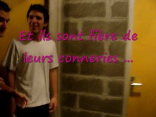 Jeune , Accident , Mortalité prématuré..