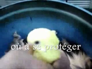 Une belle leçon de vie !