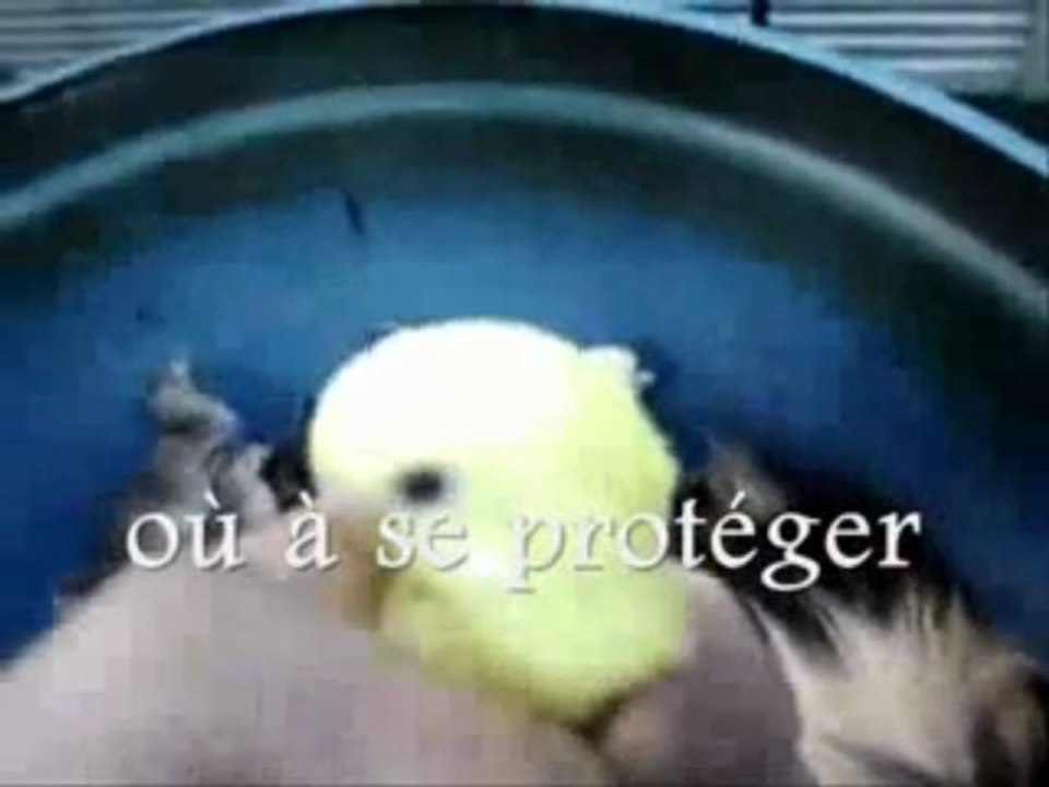 Une belle leçon de vie !