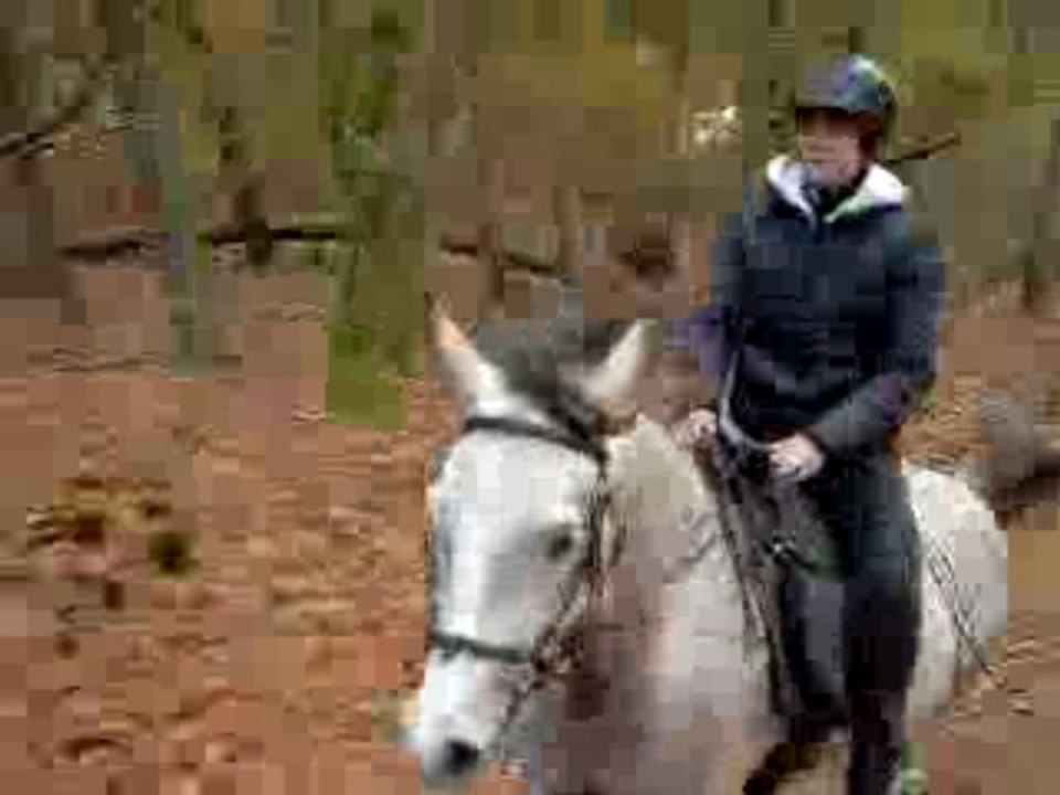 pasha sage galop