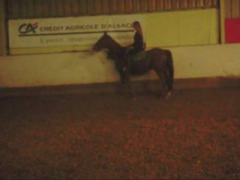 Débuts en reculer puis galop