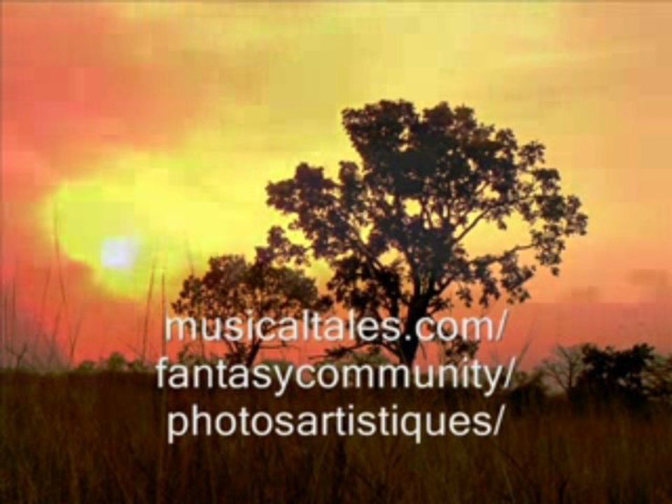 Couchers de Soleil dans la Brousse