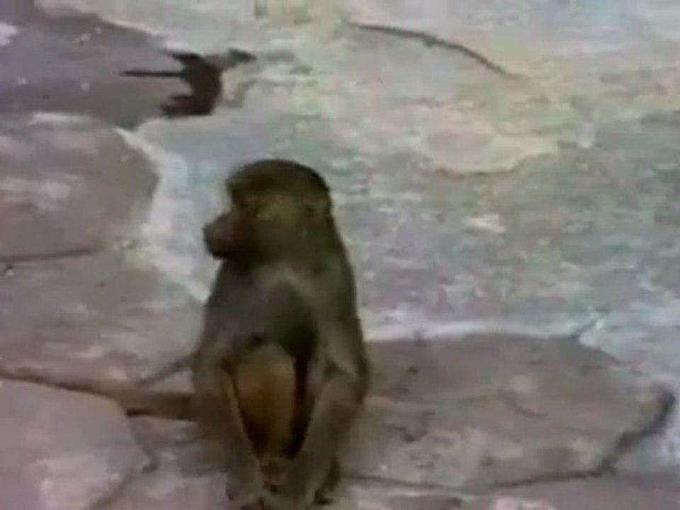 Bazı Kadınların Başına Her Sabah Bu Gelir