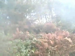 JEAN LUC POLARIS 330