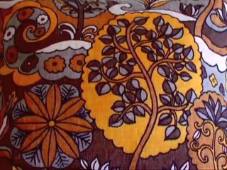 "Hear In Noiseville" POCKET featuring Steve Kilbey