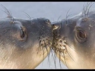 We dwoje-E&M