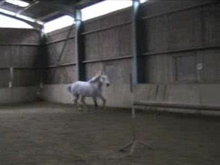 Korée saut en liberté