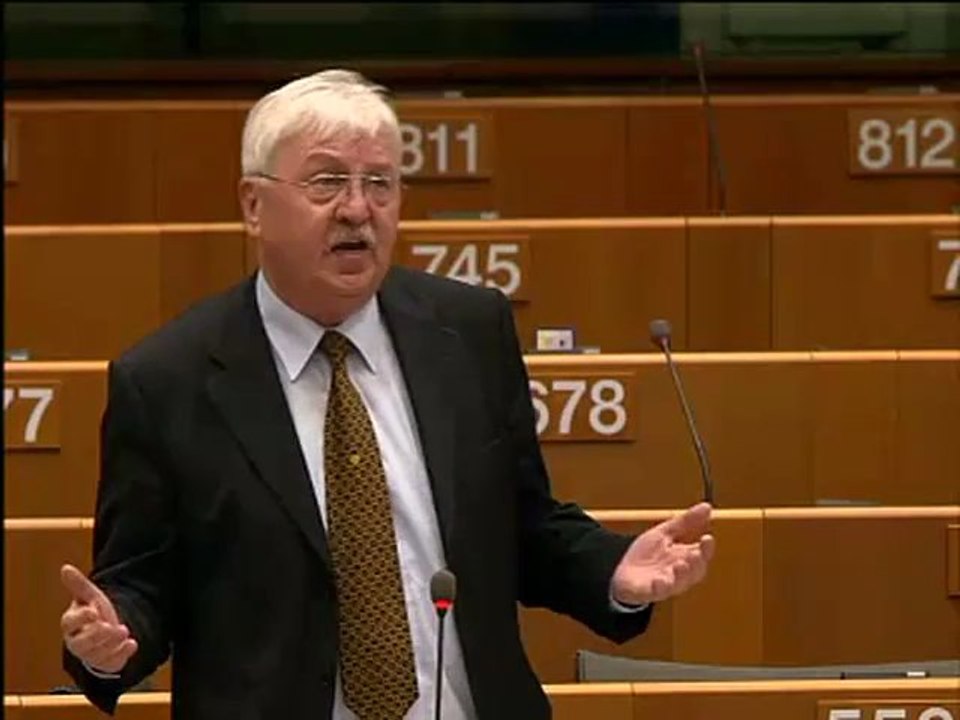 Jürgen Creutzmann on the Services Directive