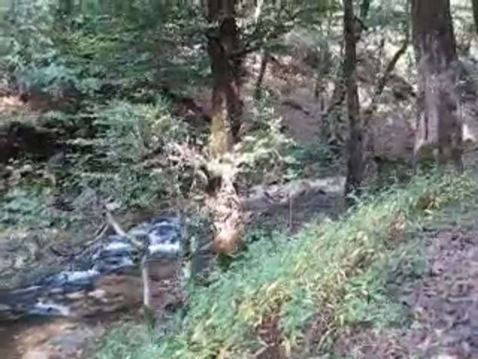 Divrash Cave