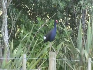 Backpacker Lifestyle - Episode 2