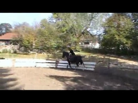 Voltige cosaque cercle