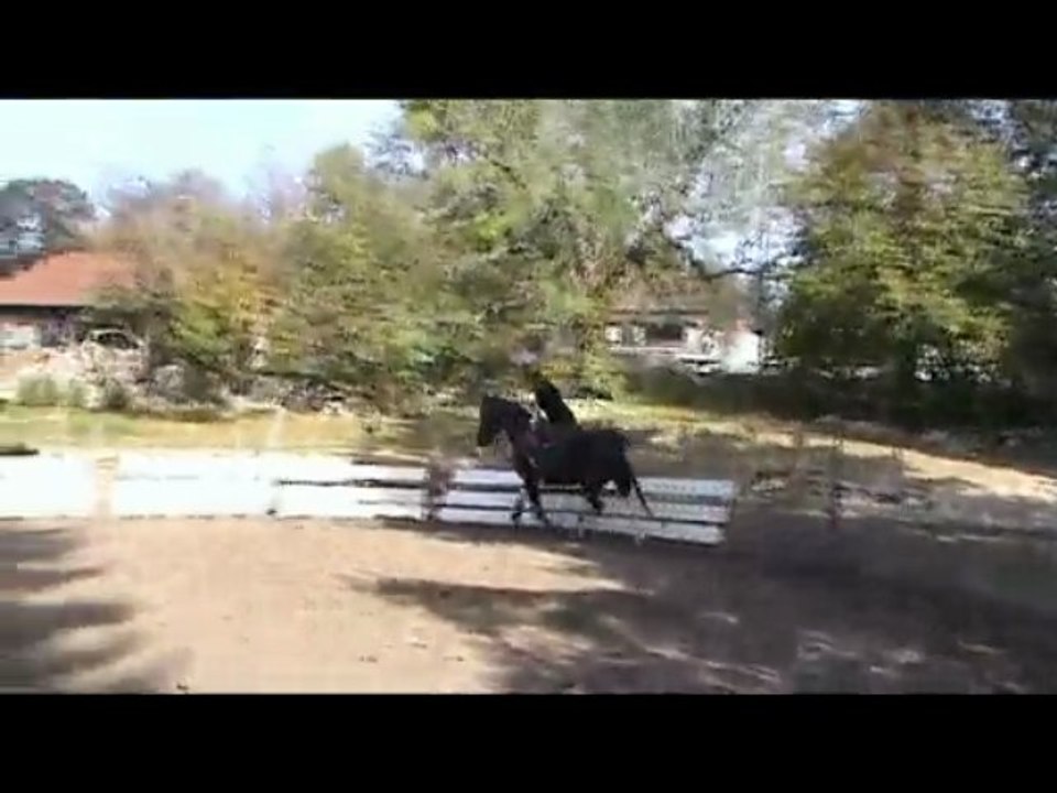 Voltige cosaque cercle