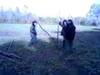 Maxence anthony, le chat, et la branche flexible