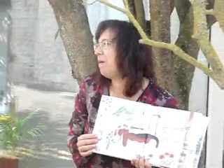 histoires de bibliothèques suite