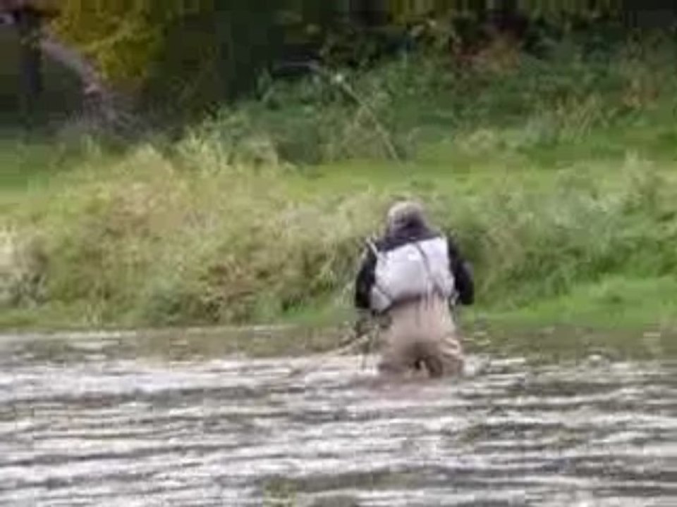Papipa dans son élément........