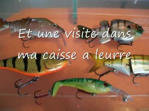 Ma boite a leurres .Vous avez dit leurres dur ?