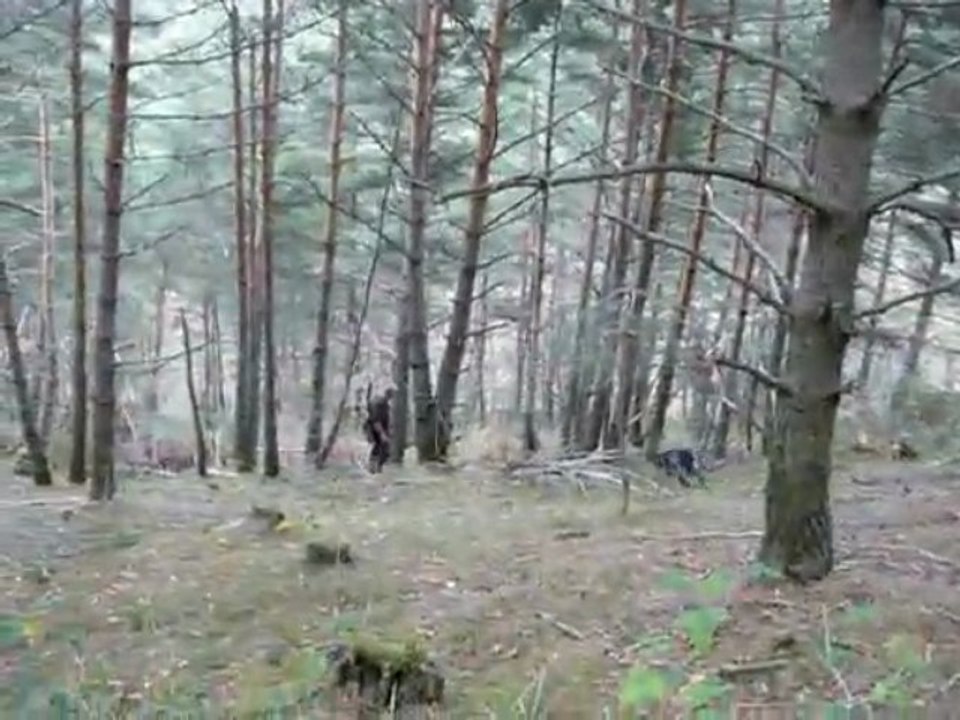 IMGP4247