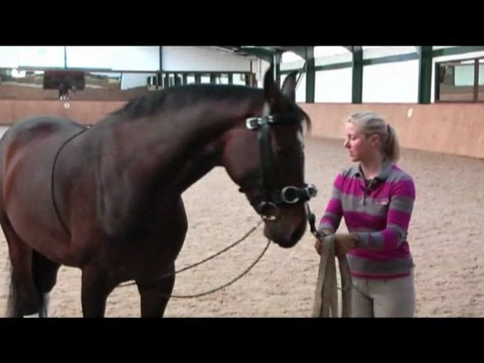 Horse Hero Lungeing Rope