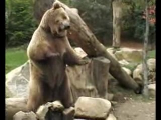 Argeles Gazost 11.10.09