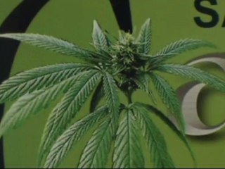 SARL AGRO CHANVRE, MORTAIN