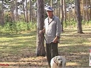 La meilleure façon de marcher