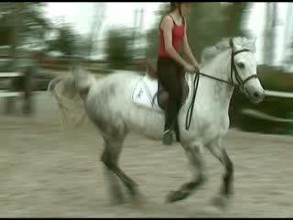 cours du 22 juin 2006