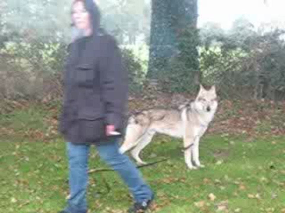 promenade djazz et milan