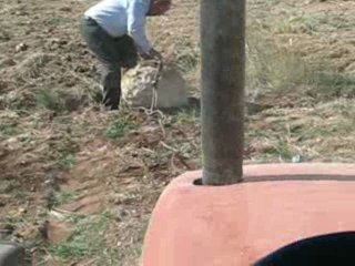 Taş Üstünde Sörf-2