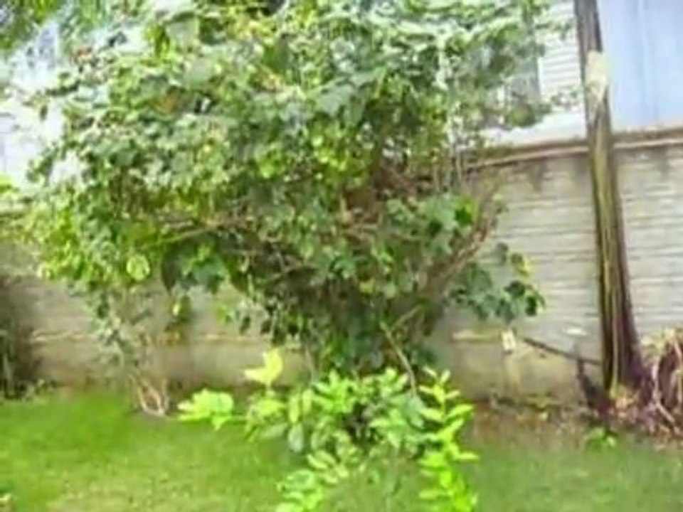 Pousada Sao Miguel2