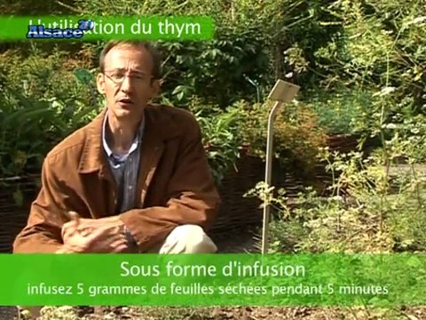Les propriétés du Thym