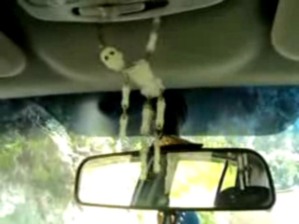 polo à alger la sono