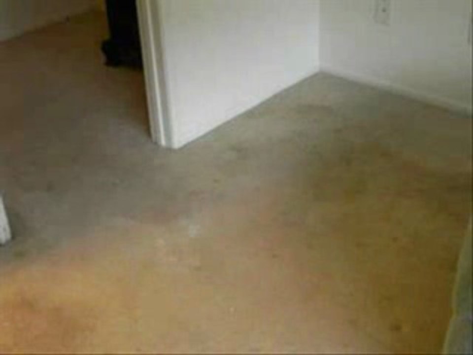 Carpet Cleaners Rockford Il (carpet cleaning) CALL ...