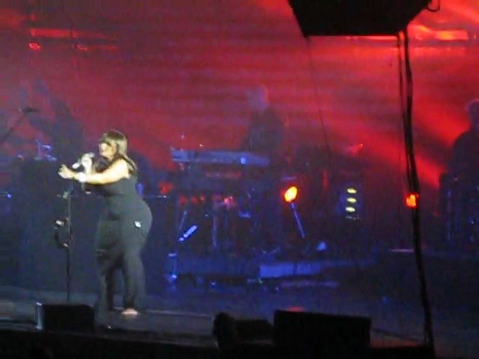 3 - Massive Attack @ Zenith (11 novembre 2009)