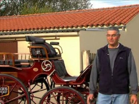 Visages du Sport : Thierry Breton - Attelage équestre