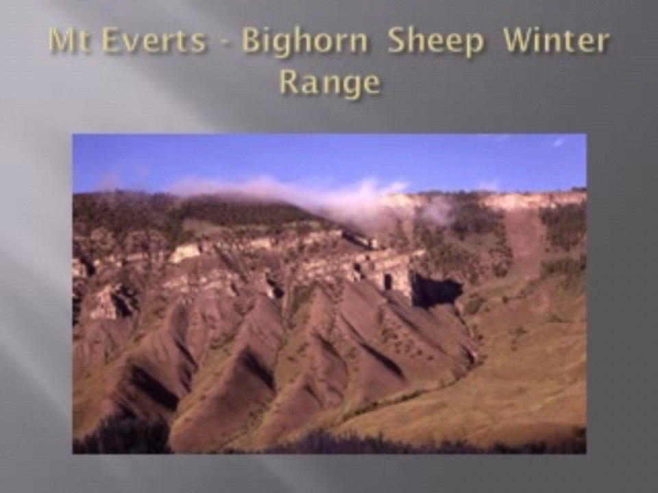 Yellowstone_National_Park