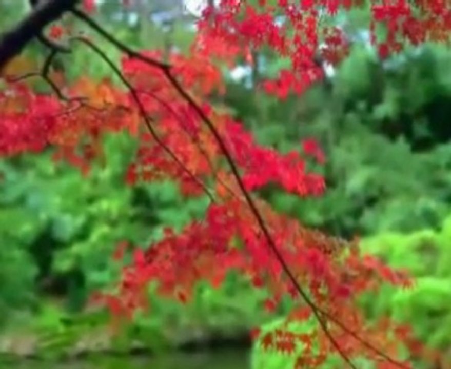 can yücel -  seninle olmanın en güzel yanı