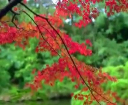 can yücel - seninle olmanın en güzel yanı